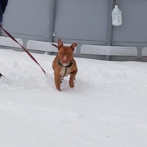 Meet your Posher, Holly